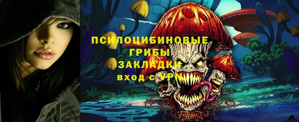 соль ск Горнозаводск