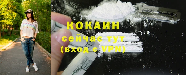 шишки Вязьма